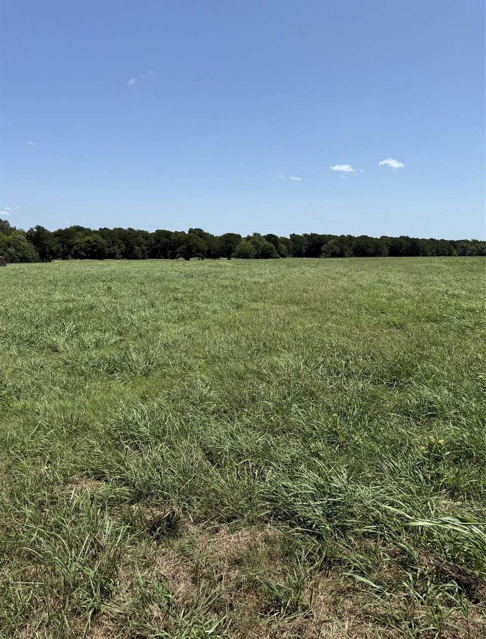 10 Acres of Recreational & Residential Land for Sale in Wills Point, Texas