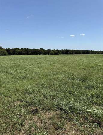 10 Acres of Recreational & Residential Land for Sale in Wills Point, Texas