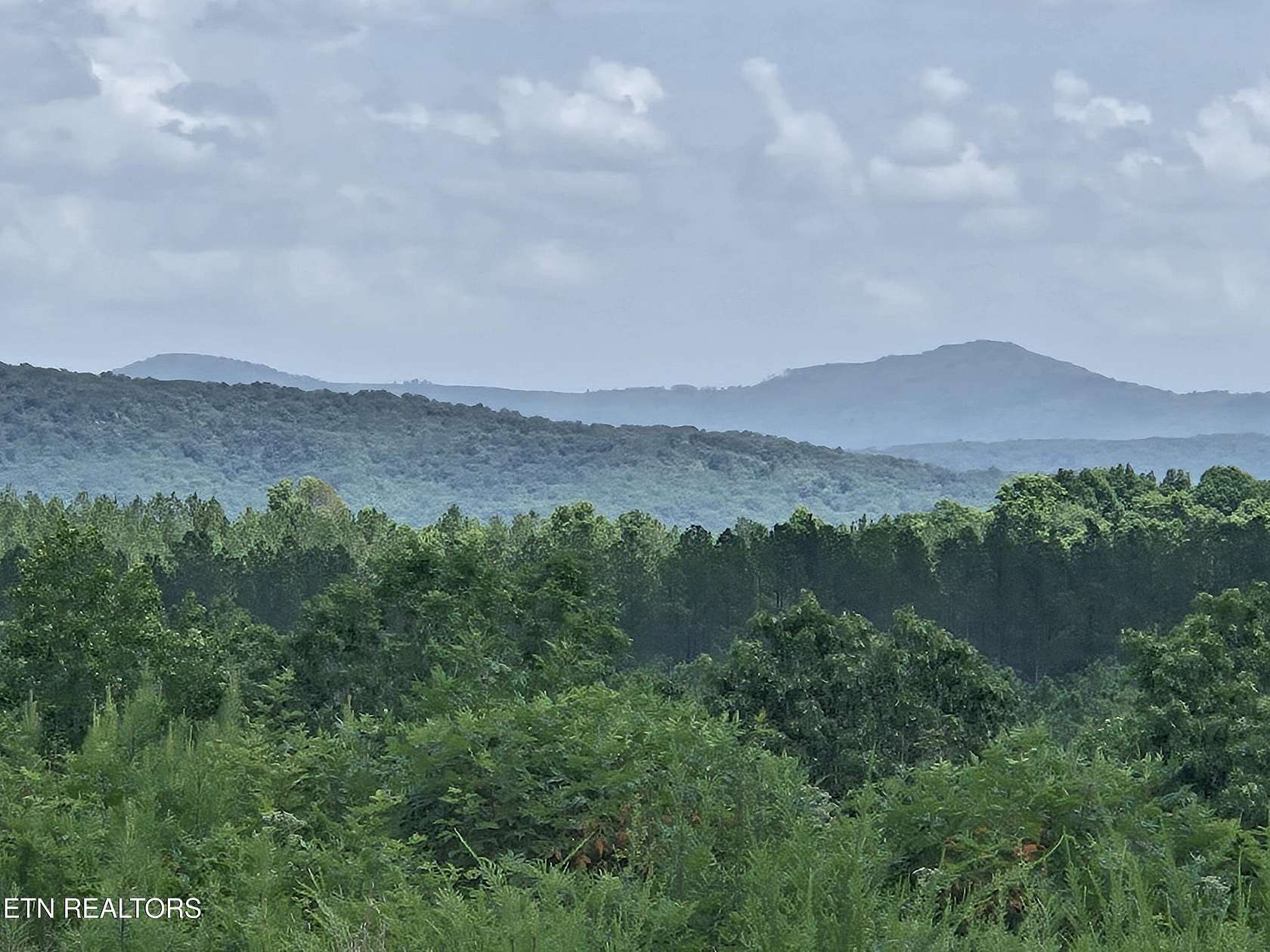 15 Acres of Land for Sale in Sunbright, Tennessee