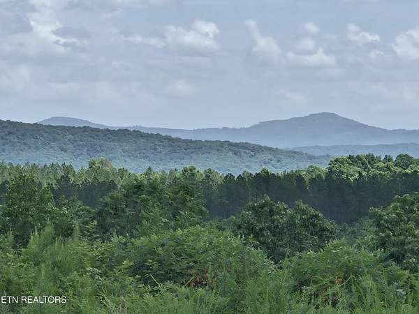 15 Acres of Land for Sale in Sunbright, Tennessee