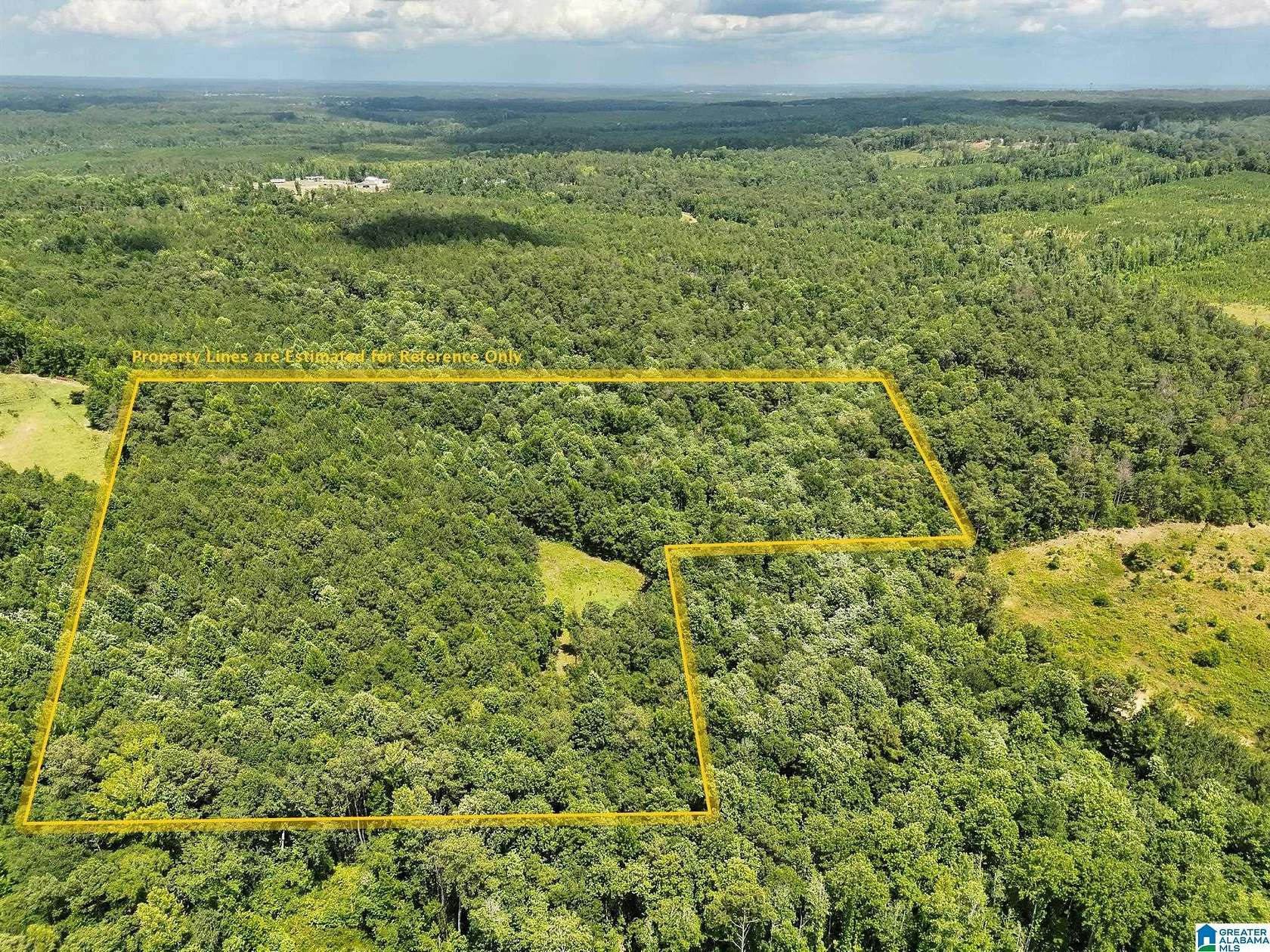 10 Acres of Land for Sale in Maplesville, Alabama