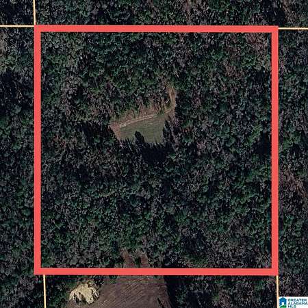 10 Acres of Land for Sale in Maplesville, Alabama