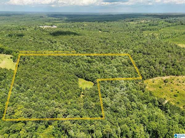 10 Acres of Land for Sale in Maplesville, Alabama