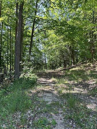 0.43 Acres of Residential Land for Sale in Big Rapids, Michigan