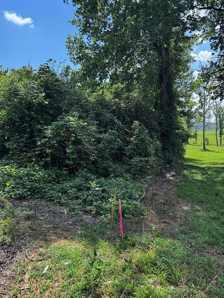 2 Acres of Residential Land for Sale in Boydton, Virginia