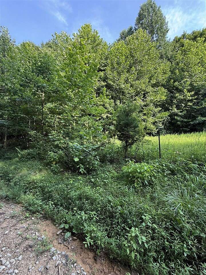 158 Acres of Recreational Land for Sale in Morgantown, Kentucky