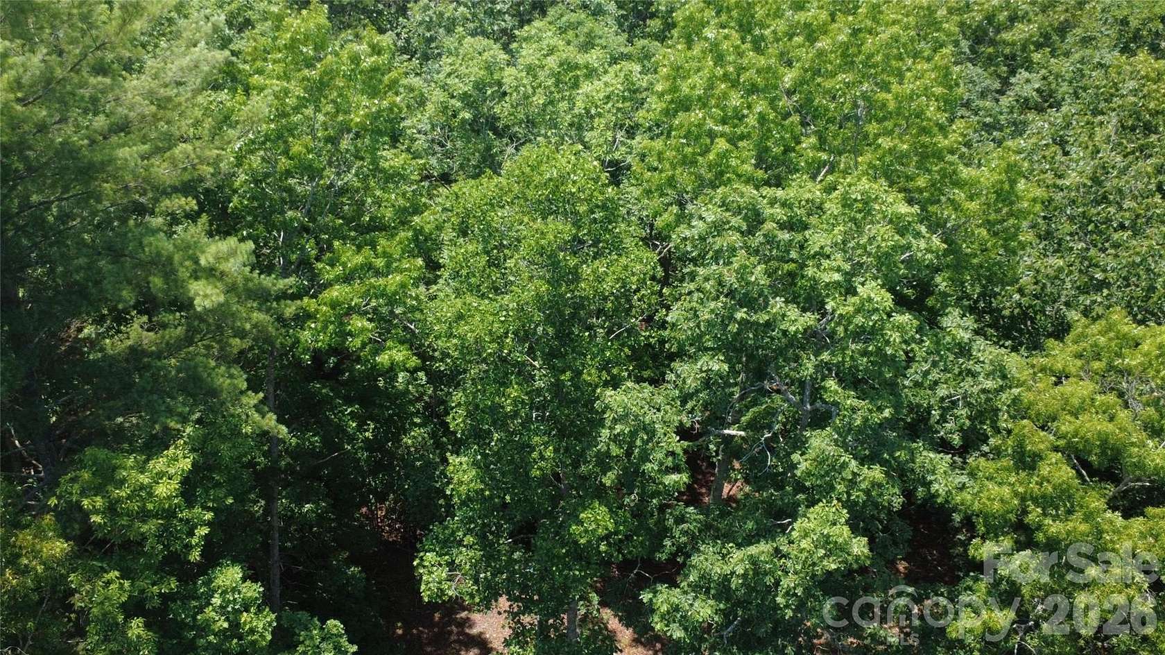 8.29 Acres of Residential Land for Sale in Morganton, North Carolina