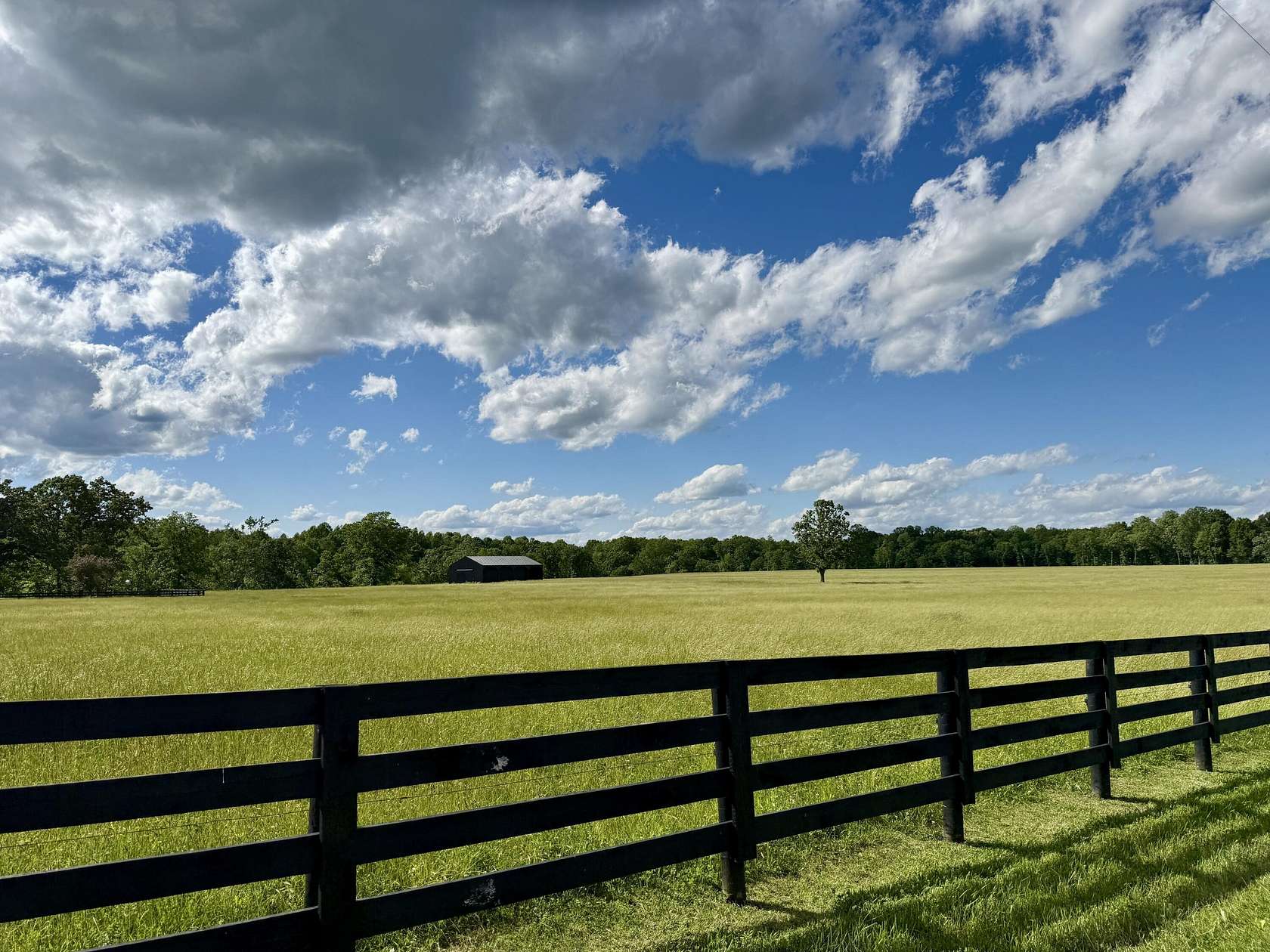 15 Acres of Land for Sale in Nancy, Kentucky