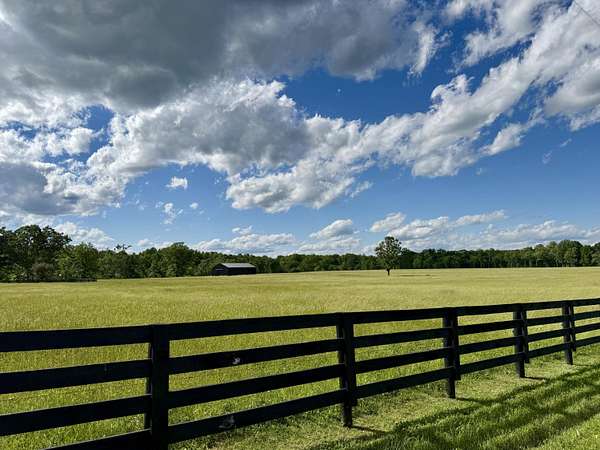 15 Acres of Land for Sale in Nancy, Kentucky