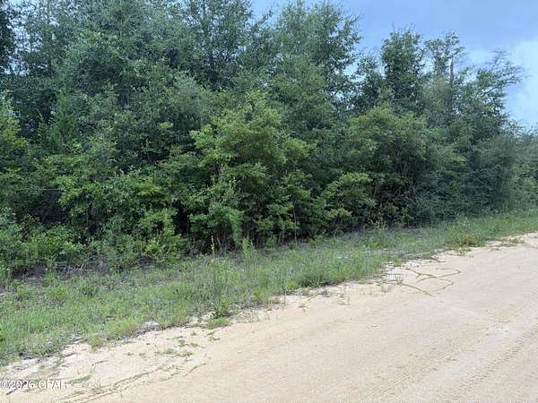 1.14 Acres of Residential Land for Sale in Alford, Florida