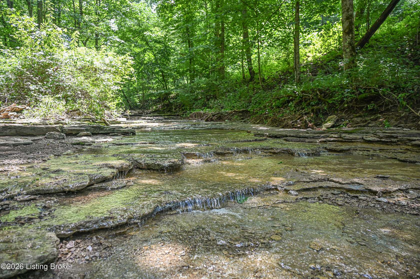 14 Acres of Land for Sale in Taylorsville, Kentucky