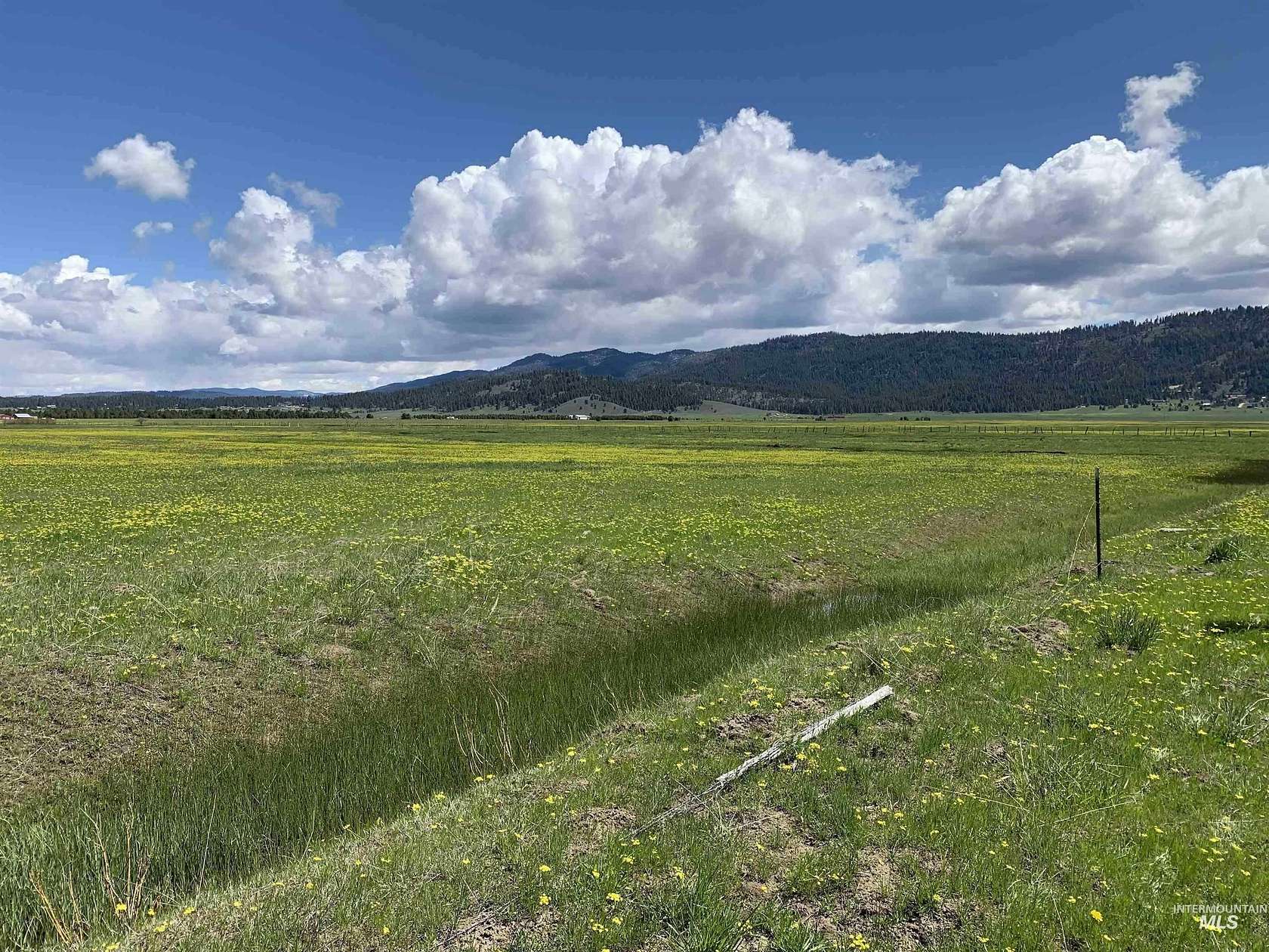 20 Acres of Recreational & Residential Land for Sale in Cascade, Idaho