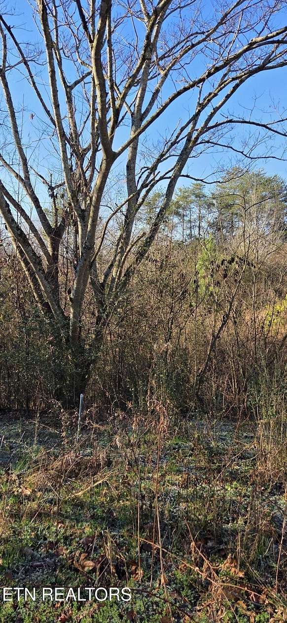 1.2 Acres of Residential Land for Sale in Madisonville, Tennessee