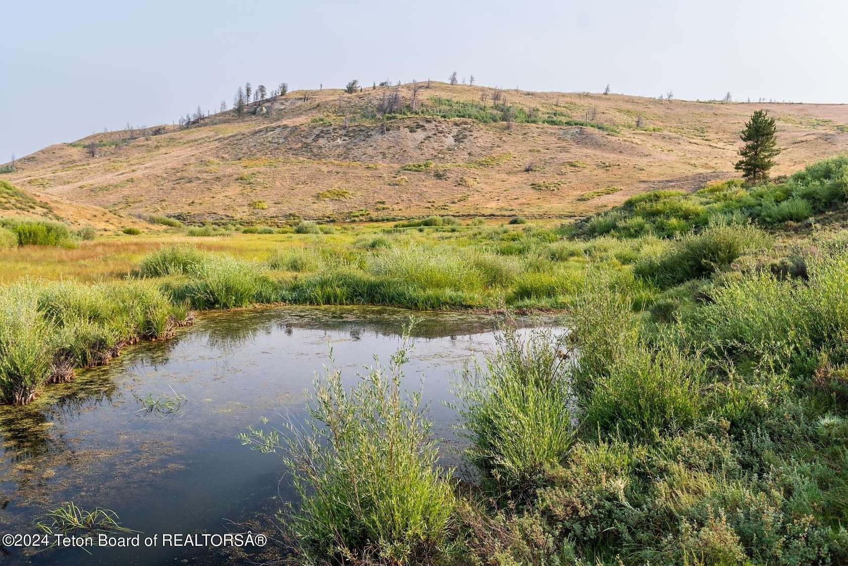49.4 Acres of Recreational & Residential Land for Sale in Bondurant, Wyoming