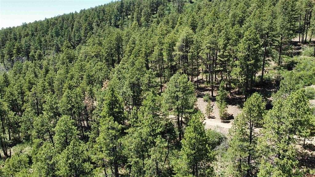 1.37 Acres of Residential Land for Sale in Bayfield, Colorado