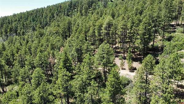 1.37 Acres of Residential Land for Sale in Bayfield, Colorado