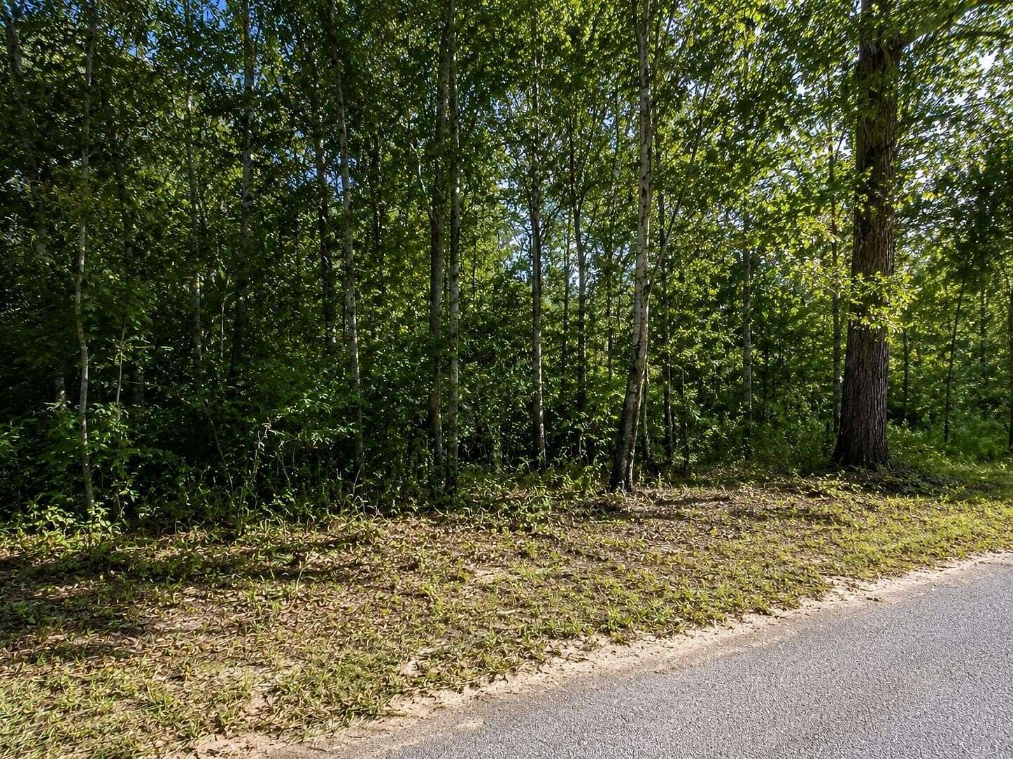 0.24 Acres of Residential Land for Sale in Milton, Florida