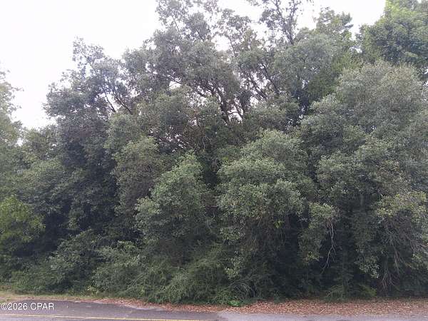 0.36 Acres of Residential Land for Sale in Chipley, Florida