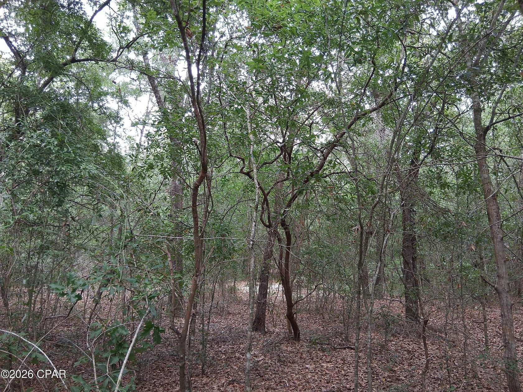 0.37 Acres of Residential Land for Sale in Chipley, Florida
