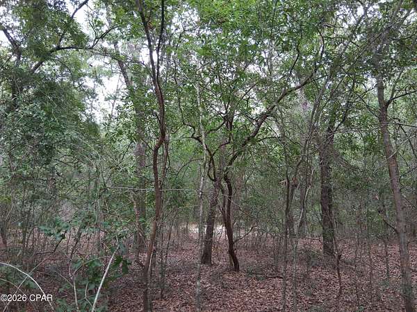 0.37 Acres of Residential Land for Sale in Chipley, Florida