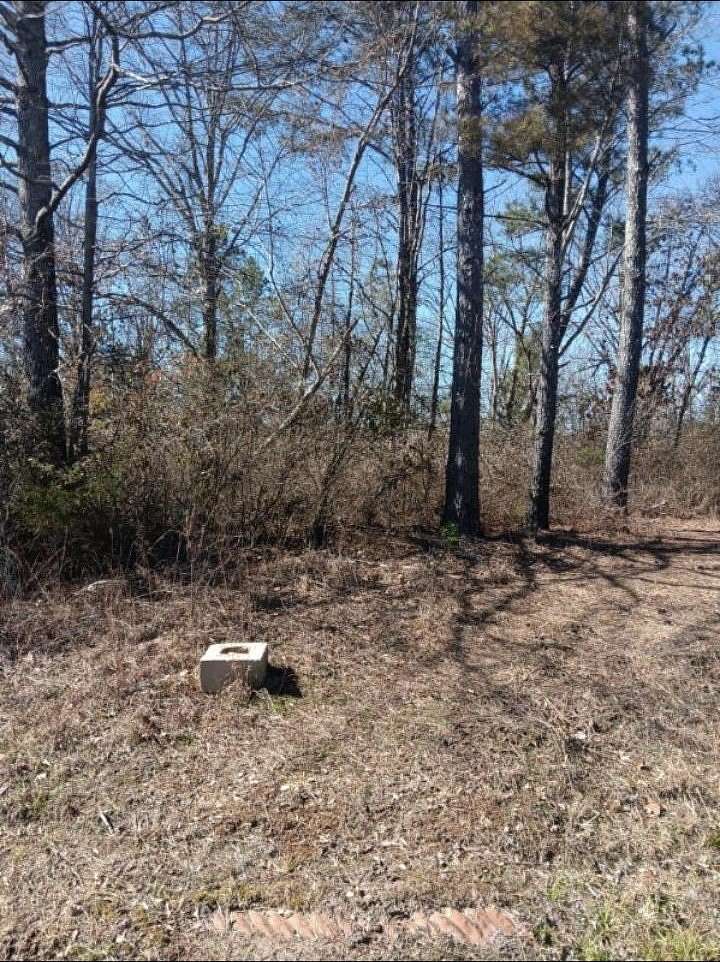 1 Acre of Residential Land for Sale in Hamilton, Alabama