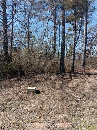 1 Acre of Residential Land for Sale in Hamilton, Alabama