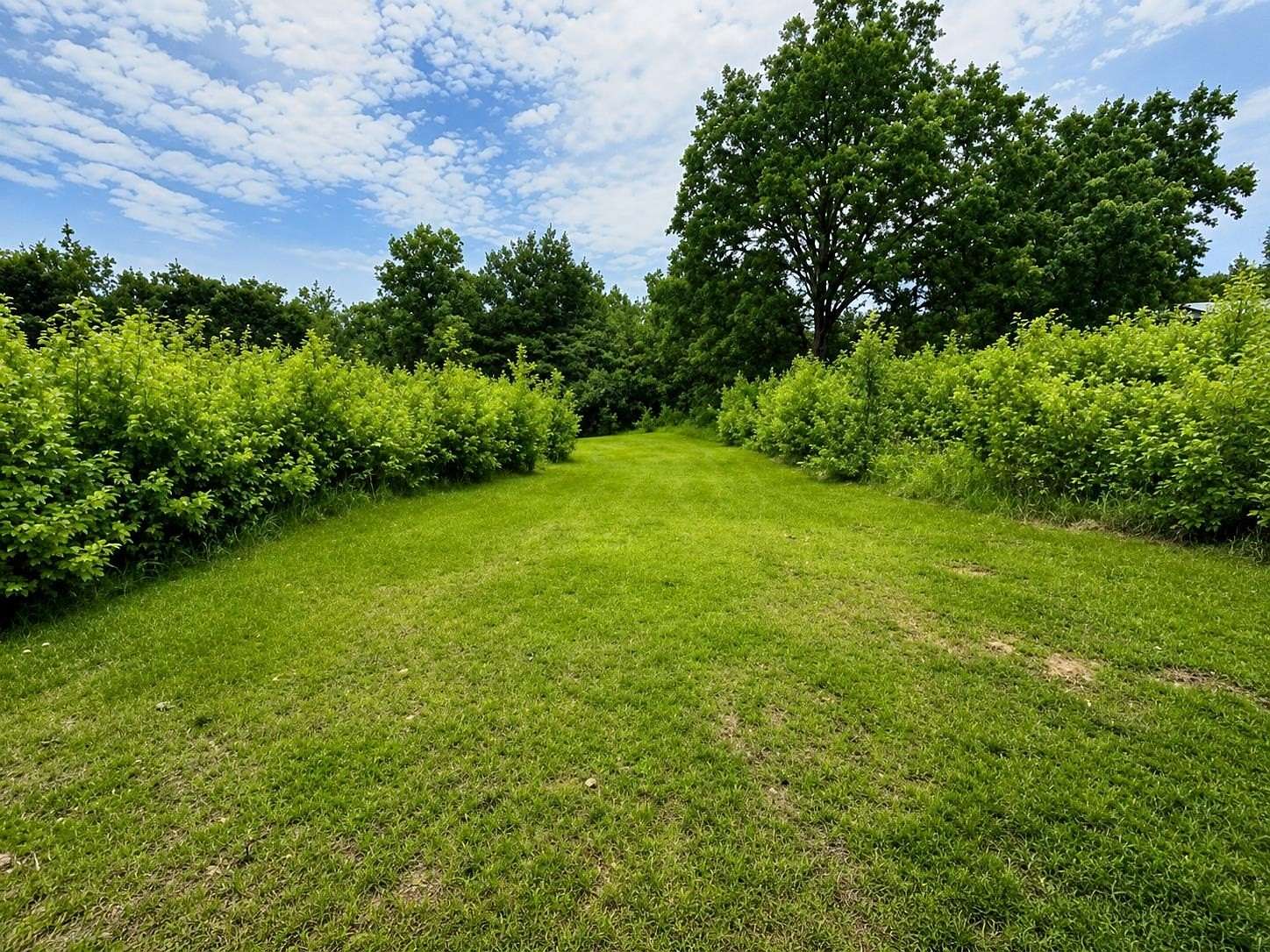 30 Acres of Recreational & Residential Land for Sale in Hamilton, Alabama