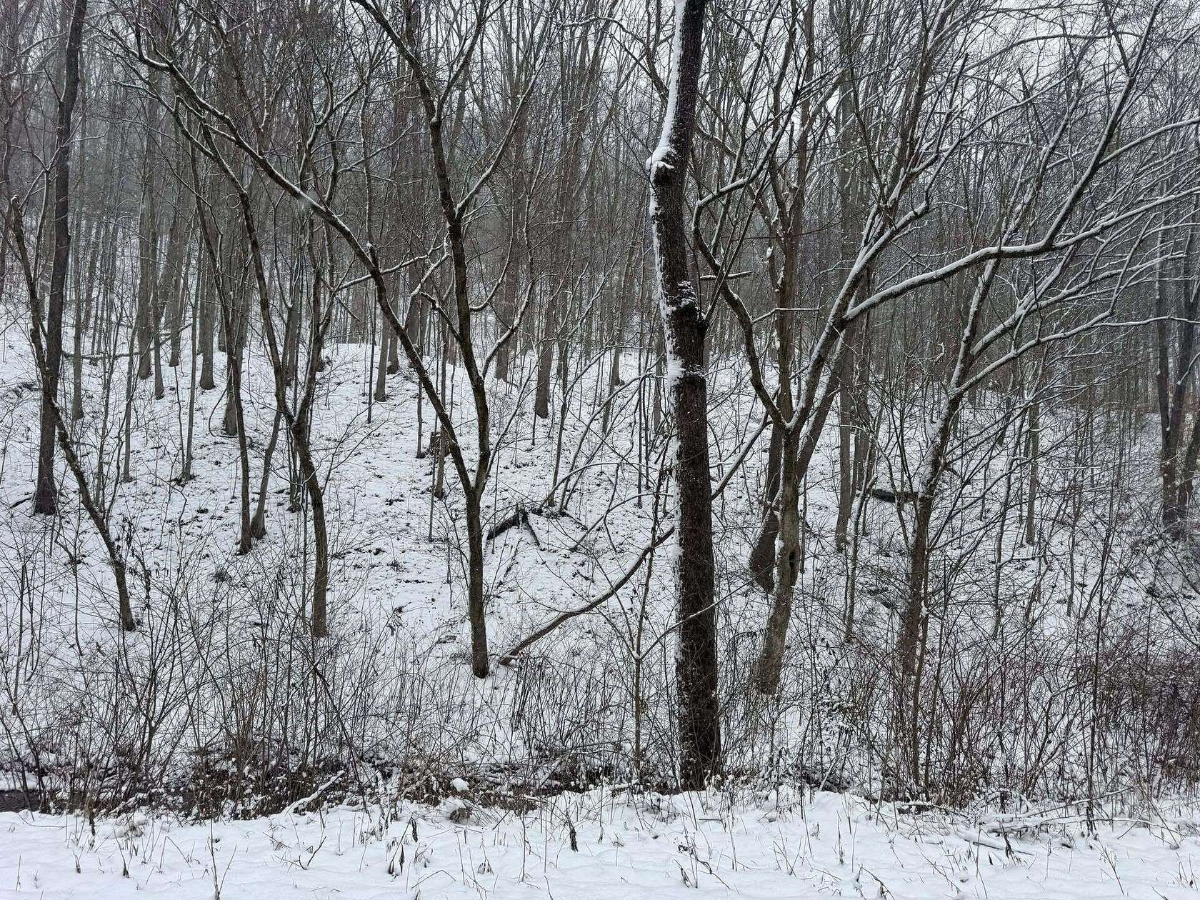 12.3 Acres of Land for Sale in Elkview, West Virginia