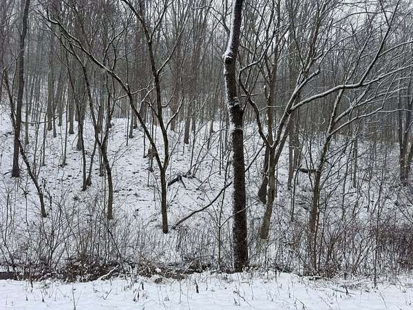 12.3 Acres of Land for Sale in Elkview, West Virginia