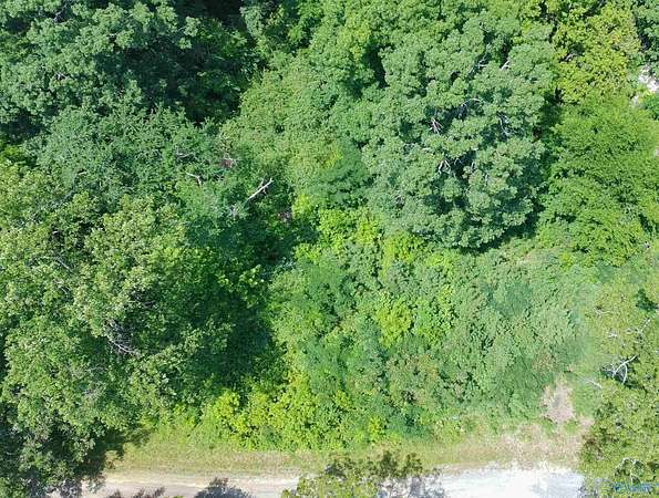 0.8 Acres of Residential Land for Sale in Arab, Alabama