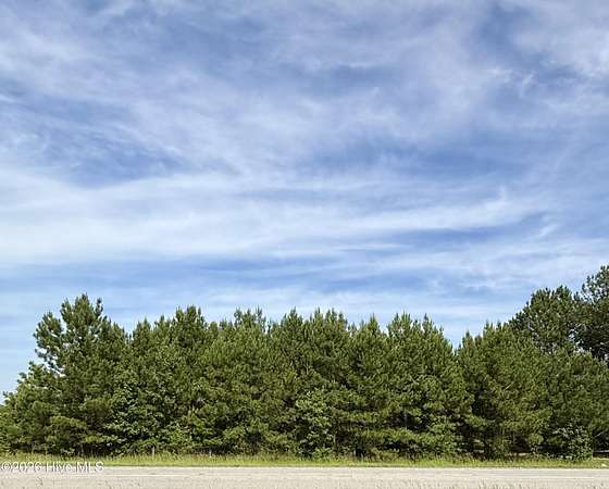 23.4 Acres of Recreational & Residential Land for Sale in Washington, North Carolina