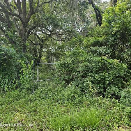 0.28 Acres of Residential Land for Sale in Jacksonville, Florida