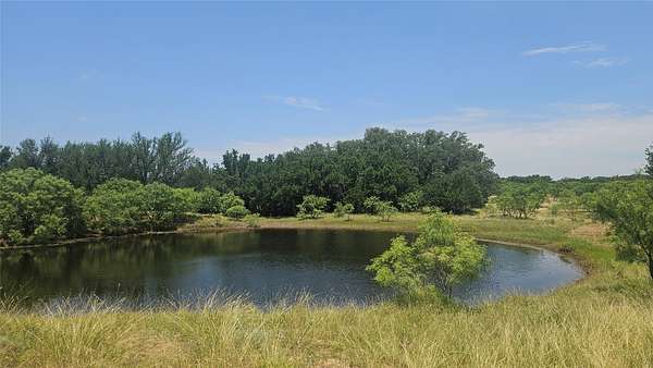49 Acres of Land with Home for Sale in Mullin, Texas