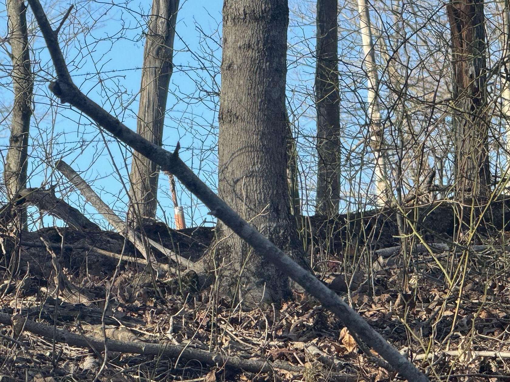 0.25 Acres of Land for Sale in Sutton, West Virginia