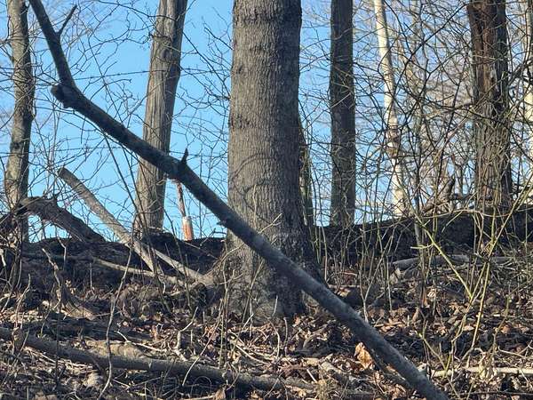 0.25 Acres of Land for Sale in Sutton, West Virginia