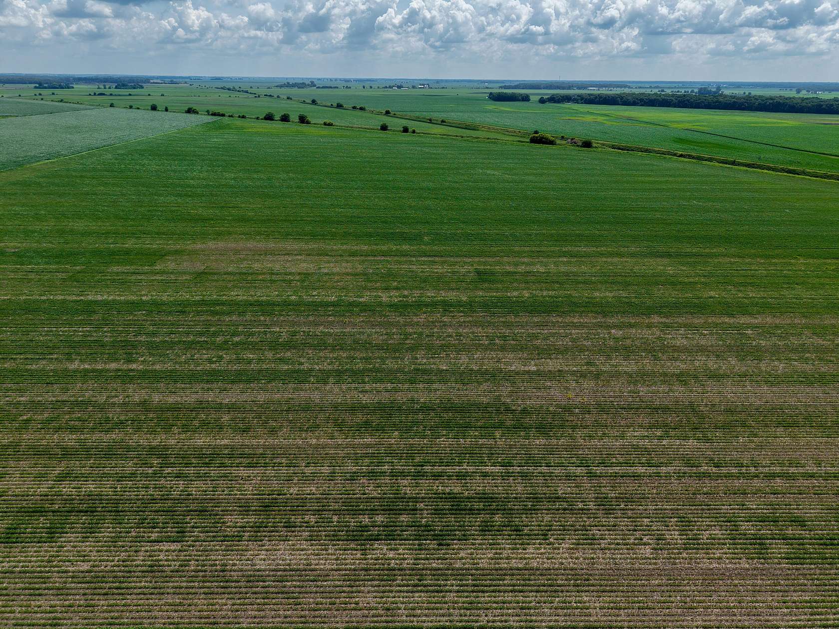 78 Acres of Land for Sale in Lowell, Indiana