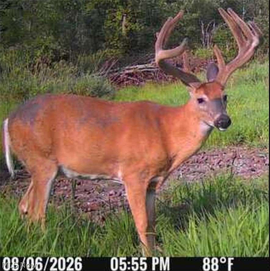 38 Acres of Recreational Land for Sale in New Philadelphia, Ohio