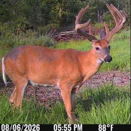 38 Acres of Recreational Land for Sale in New Philadelphia, Ohio