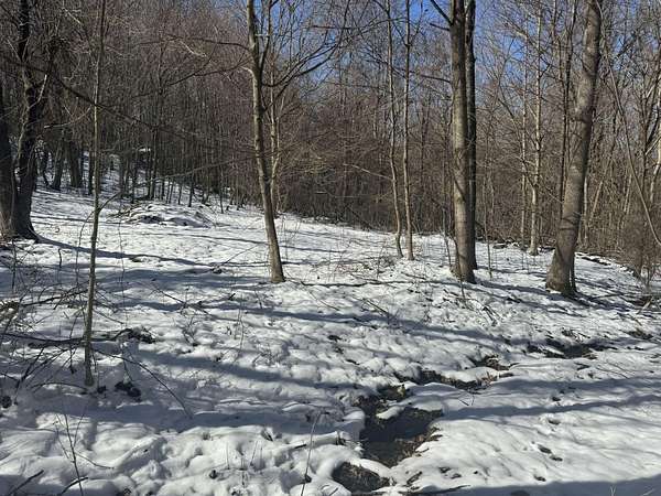 5 Acres of Land for Sale in Moatsville, West Virginia