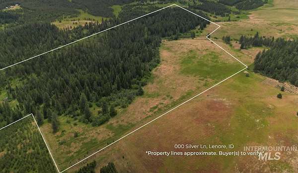 85.6 Acres of Land for Sale in Lenore, Idaho