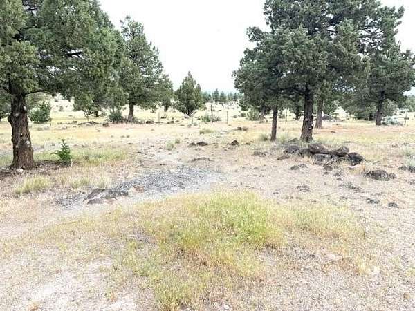 0.39 Acres of Residential Land for Sale in Weed, California