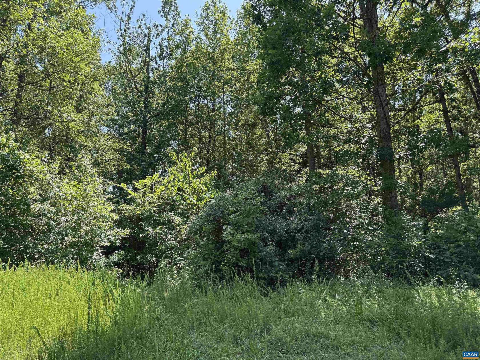 10.1 Acres of Land for Sale in Beaverdam, Virginia