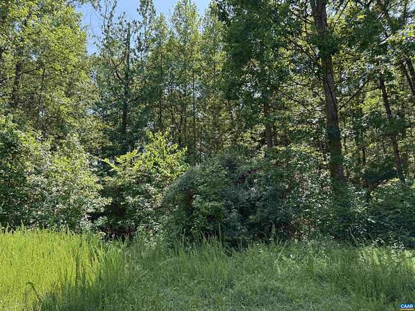 10.1 Acres of Land for Sale in Beaverdam, Virginia