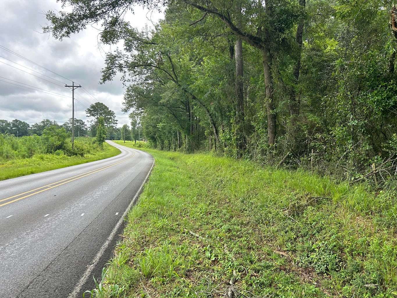 30.7 Acres of Land for Sale in Ellisville, Mississippi