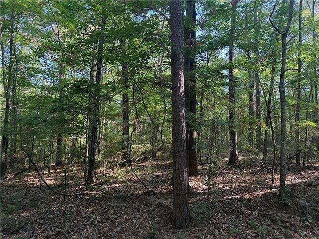 38 Acres of Land for Sale in Olla, Louisiana