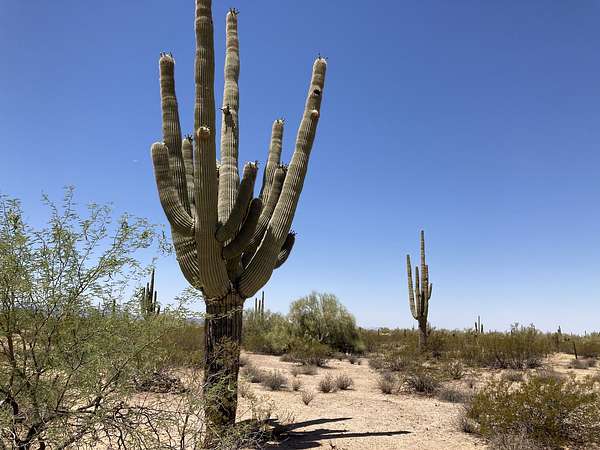 5 Acres of Land for Sale in Marana, Arizona