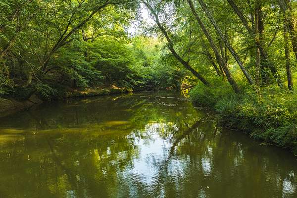 77.5 Acres of Land for Sale in Granite Falls, North Carolina