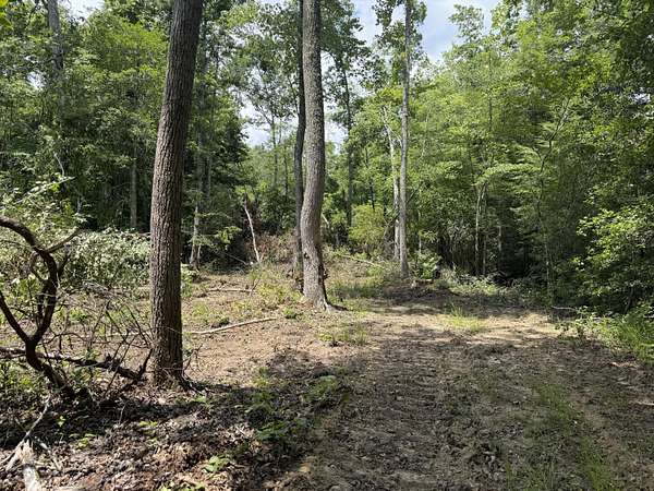 1.1 Acres of Residential Land for Sale in Williamsburg, Kentucky