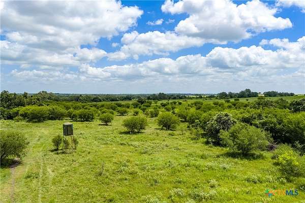 163 Acres of Land for Sale in Goliad, Texas
