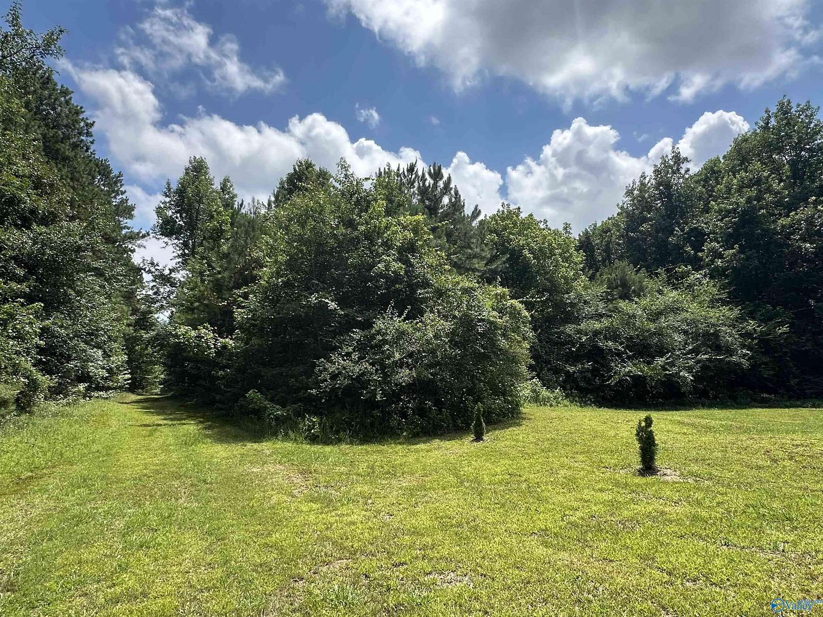 3 Acres of Land for Sale in Guntersville, Alabama